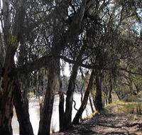 Mia Forest Drives Narrandera - Events Australia
