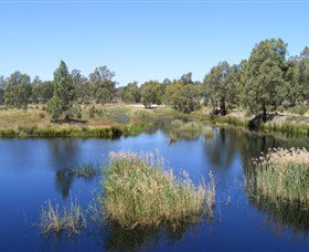 Narrandera Wetlands - Events Australia 0