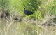 Narrandera Wetlands - thumb 2