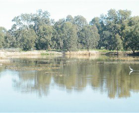 Narrandera Wetlands - Events Australia 1