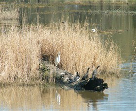 Narrandera Wetlands - Events Australia 3