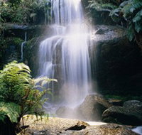 Mount Buangor State Park - Events Australia
