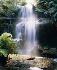 Mount Buangor State Park - Events Australia 0