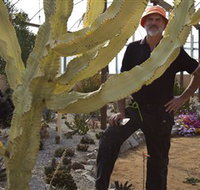 Cactus Country - Events Australia