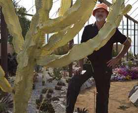 Cactus Country - Events Australia 0