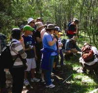Warrumbungle National Park Discovery Program - Events Australia