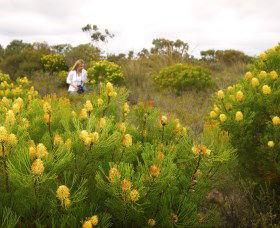 Fitzgerald Biosphere - Tourism Bookings 1