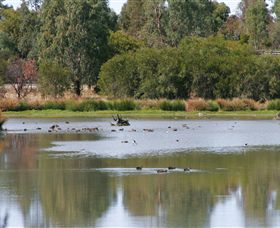 Cussen Park - Events Australia 0