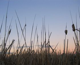 Cussen Park - Events Australia 3