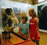 Australian Museum Diprotodon Exhibition - Events Australia