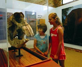 Australian Museum Diprotodon Exhibition - Events Australia 0