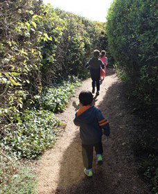 Springmount VIC Tourism Bookings