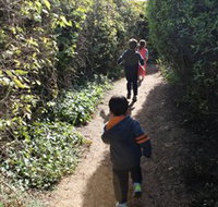 The Tangled Maze  Mistydowns Nursery - Tourism Bookings