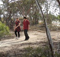 Tamma Parkland - Accommodation Europe