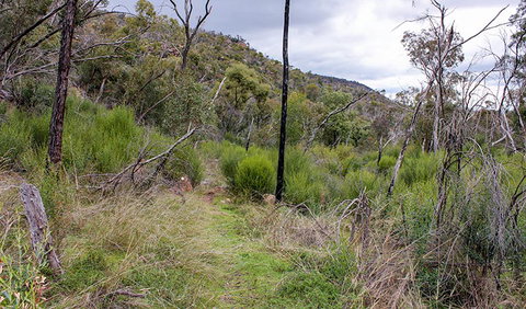 Lynchs Loop Trail - Events Australia 0