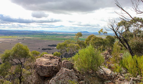 Lynchs Loop Trail - Events Australia 3