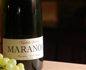 Baptista - David Traeger - Events Australia 0