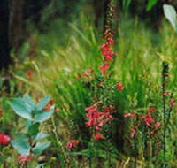 Enfield State Park - Tourism Bookings