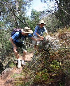 Gollan NSW Tourism Bookings