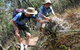 Mount Arthur Reserve - thumb 0