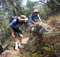 Mount Arthur Reserve - Tourism Bookings