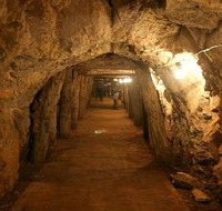 Wellington Caves and Phosphate Mine - Tourism Bookings