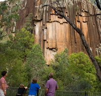 Sawn Rocks walking track - Events Australia