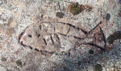 Terry Hie Hie Aboriginal Area - Events Australia 3