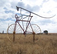 Animals on Bikes - Events Australia