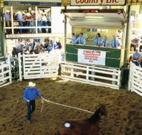 Gracemere Exhibition Complex - Events Australia