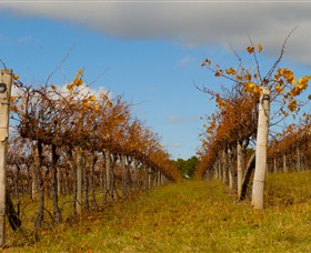Charles Sturt University Winery Wagga Wagga - Events Australia 3
