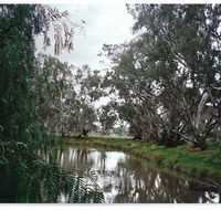 Henty Government Dam Nature Reserve - Events Australia