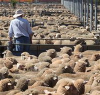 Livestock Marketing Centre - Events Australia