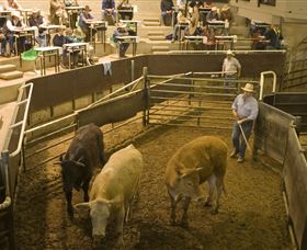 Livestock Marketing Centre - Events Australia 1