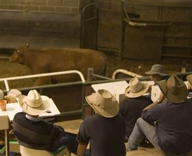 Livestock Marketing Centre - Events Australia 2