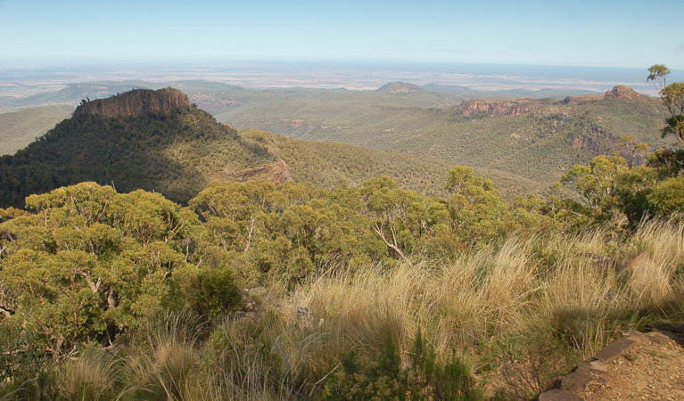 Kaputar NSW Tourism Bookings