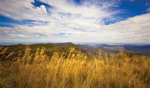 Mount Kaputar Summit Walk - Tourism Bookings 1