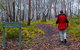 Mount Kaputar Summit Walk - thumb 2