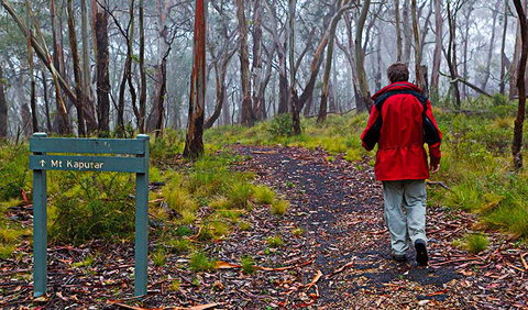 Mount Kaputar Summit Walk - Tourism Bookings 2