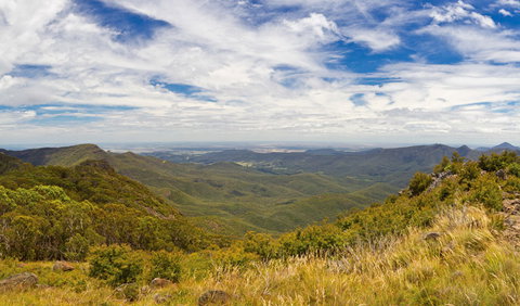 Mount Kaputar Summit Walk - Tourism Bookings 3