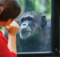 The Rockhampton Zoo - Accommodation Europe