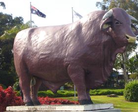 Rockhampton Bull Statues - Events Australia 0