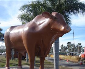 Rockhampton Bull Statues - Events Australia 3