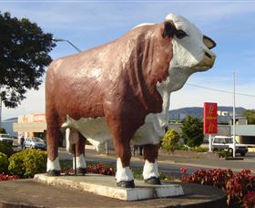 Rockhampton Bull Statues - Events Australia 2