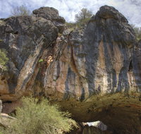Borenore Karst Conservation Reserve - Events Australia