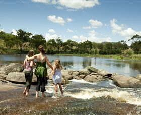 Polly McQuinns - Tourism Bookings 1