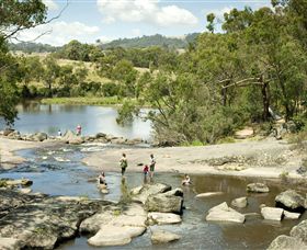 Polly McQuinns - Tourism Bookings 0