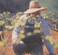 Canobolas Smith Winery - Events Australia