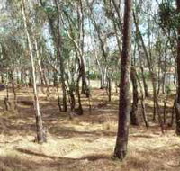 Chiltern-Mt Pilot National Park - Events Australia