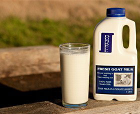 Dunkell Goats - Events Australia 2